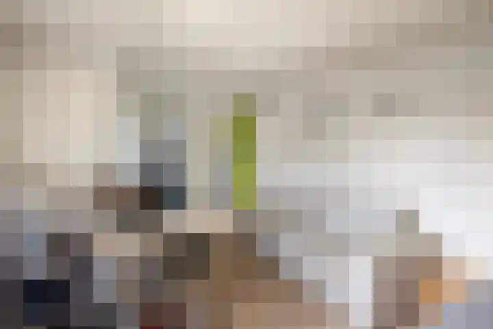 Bogerd 24 Eersel thumbnail 13