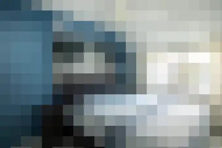 Bogerd 24 Eersel thumbnail 16