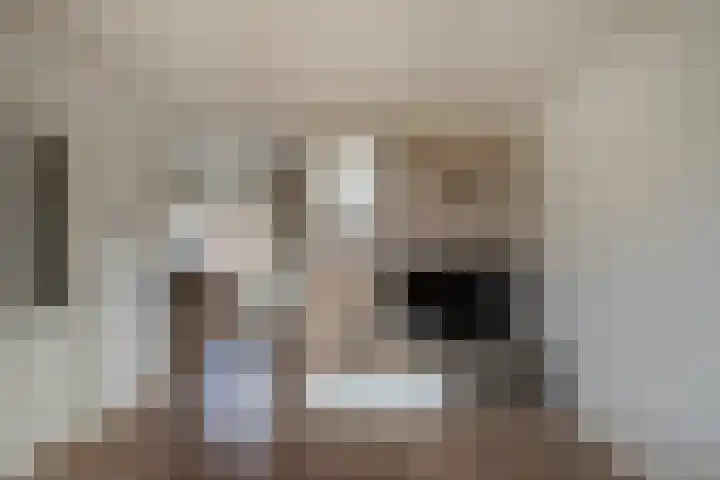 Bogerd 24 Eersel thumbnail 7