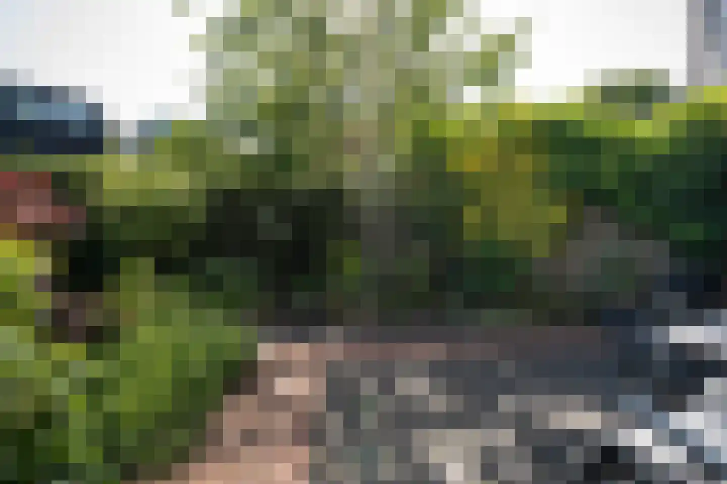 Bogerd 29 Leerdam thumbnail 32