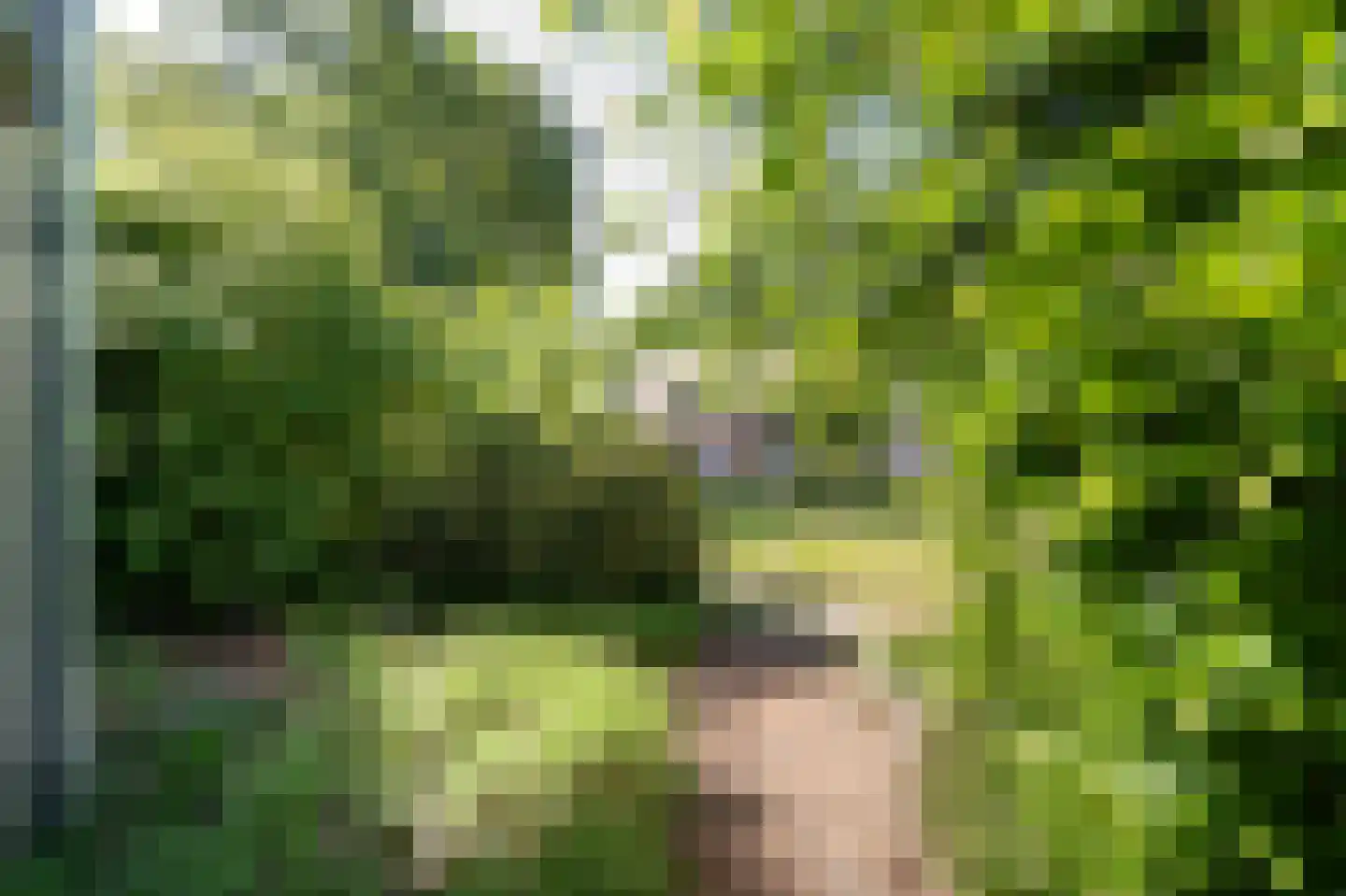 Bogerd 29 Leerdam thumbnail 33