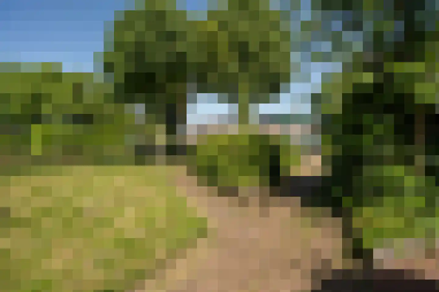 Bogerd 29 Leerdam thumbnail 35