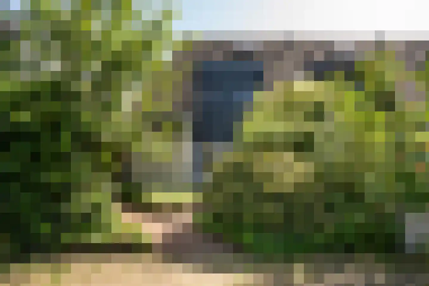 Bogerd 29 Leerdam thumbnail 5