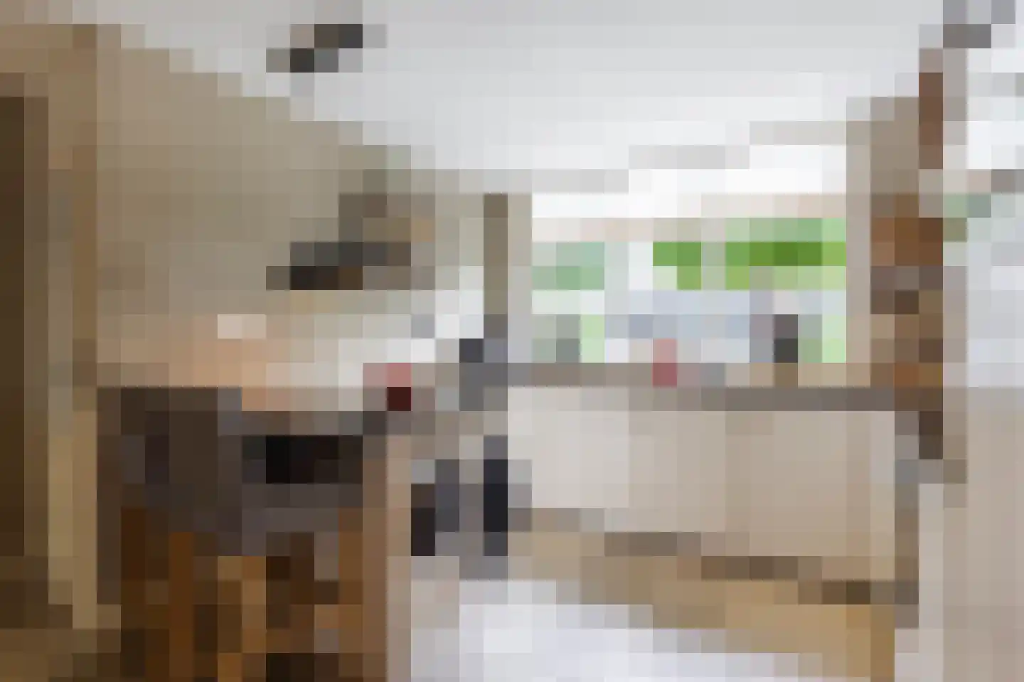 Bogerd 50 Giessenburg thumbnail 12