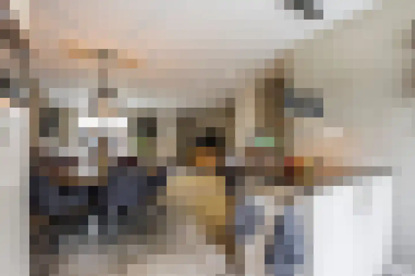 Bogerd 50 Giessenburg thumbnail 16
