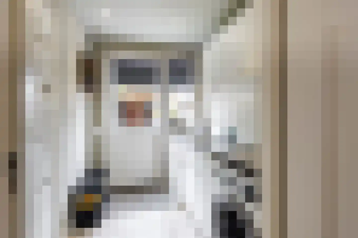 Bogerd 50 Giessenburg thumbnail 17