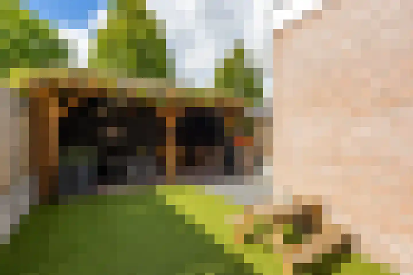 Bogerd 50 Giessenburg thumbnail 35