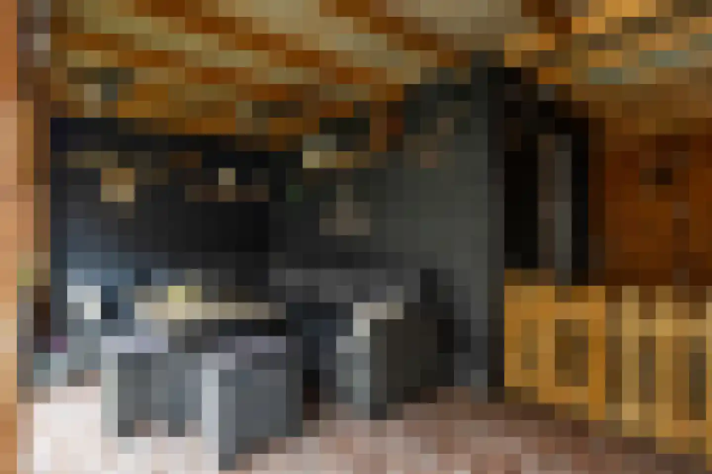 Bogerd 50 Giessenburg thumbnail 4