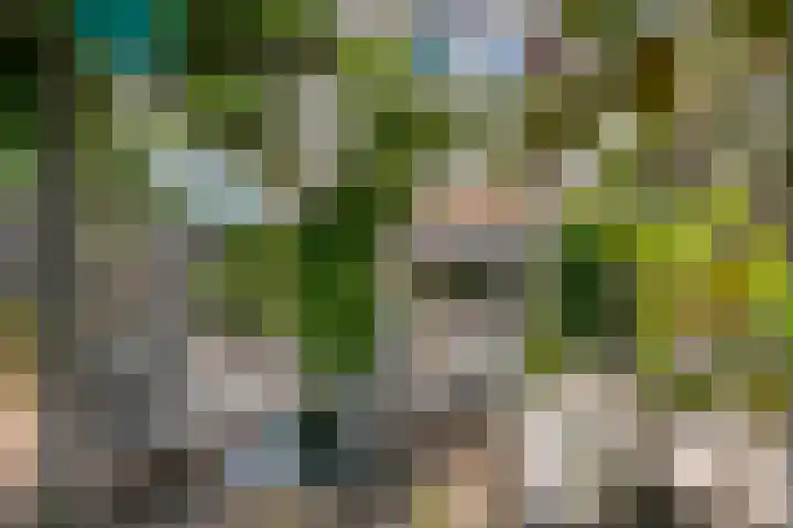 Bogerd 61 Leerdam foto 2