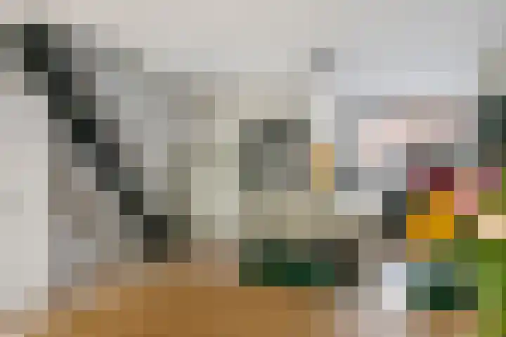 Bogerd 61 Leerdam thumbnail 23