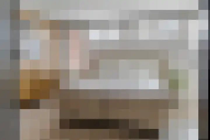 Bogerd 61 Leerdam thumbnail 28