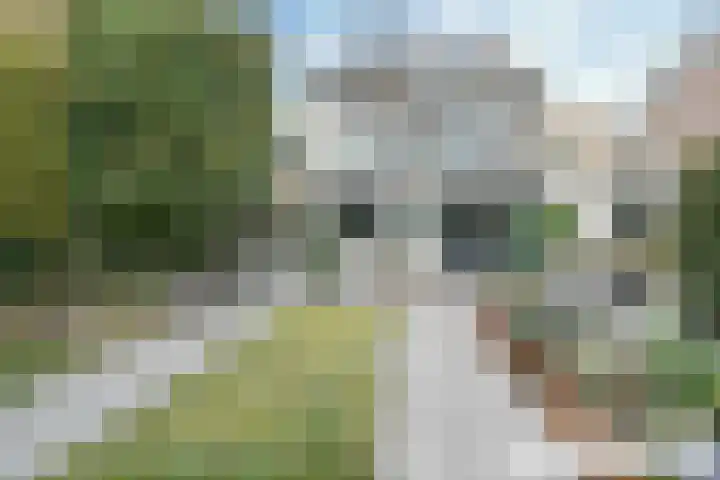 Bogerd 61 Leerdam thumbnail 35