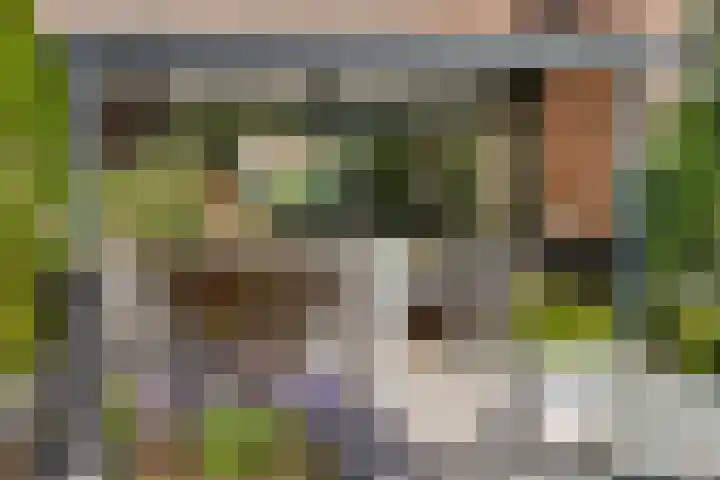 Bogerd 61 Leerdam thumbnail 43