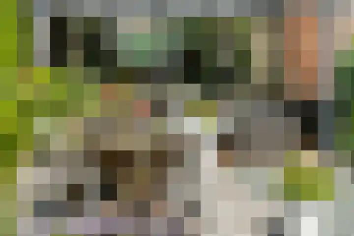 Bogerd 61 Leerdam thumbnail 46