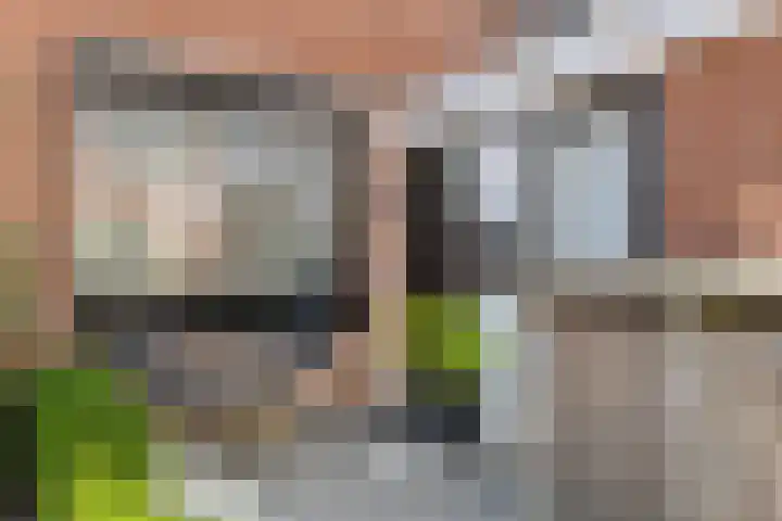 Bogerd 61 Leerdam thumbnail 6