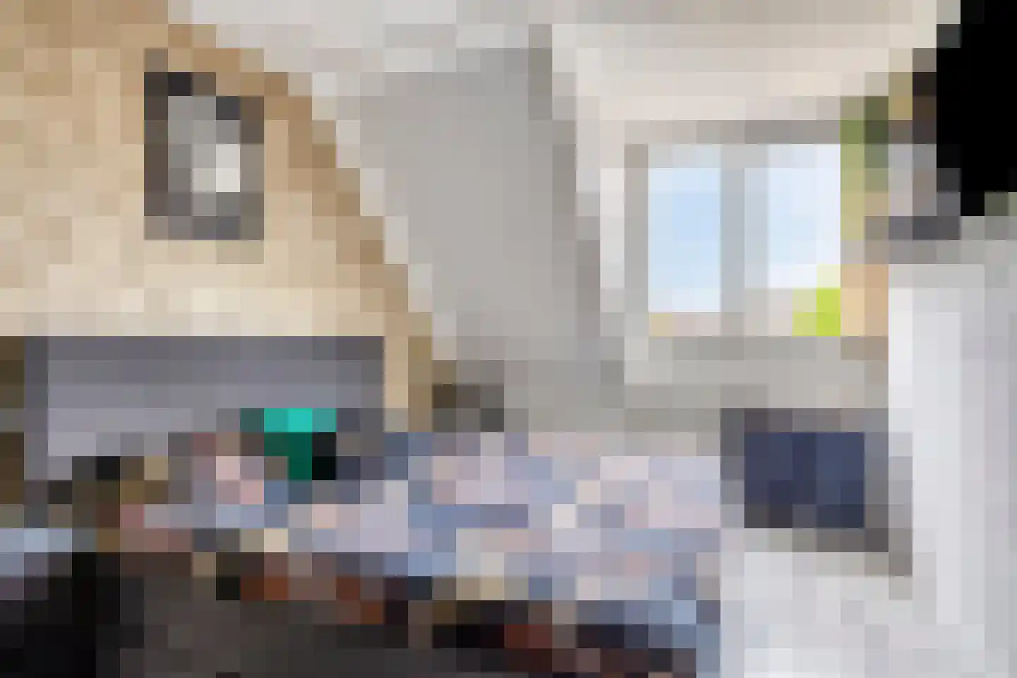 Bogerdhof 1 a Dreischor thumbnail 16