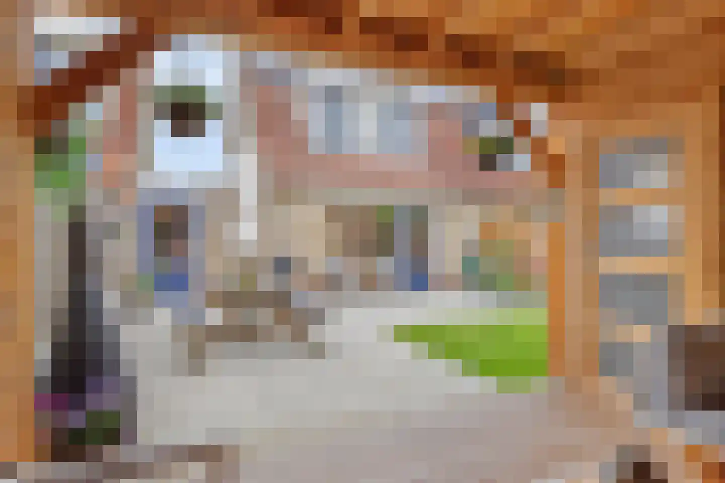 Bogerdhof 1 a Dreischor thumbnail 28