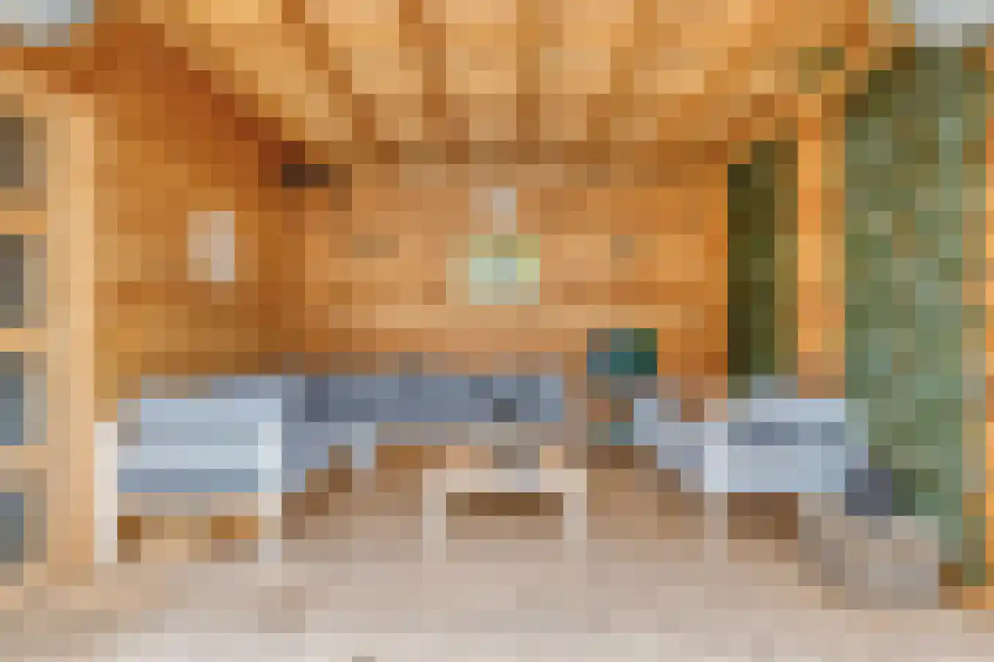 Bogerdhof 1 a Dreischor thumbnail 29
