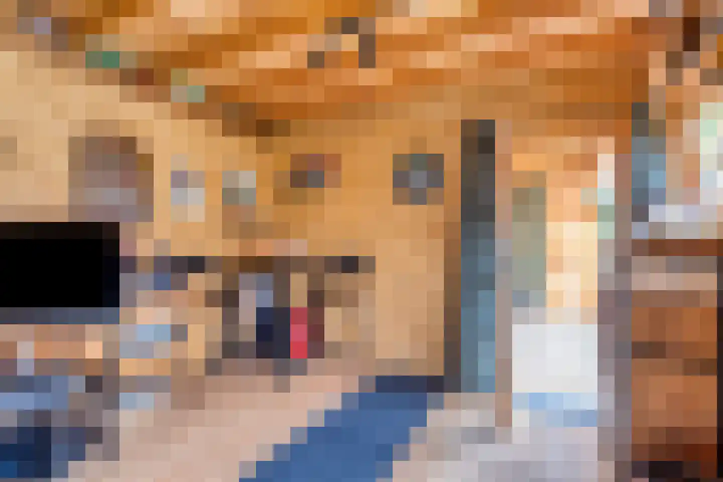 Bogerdhof 1 a Dreischor thumbnail 32