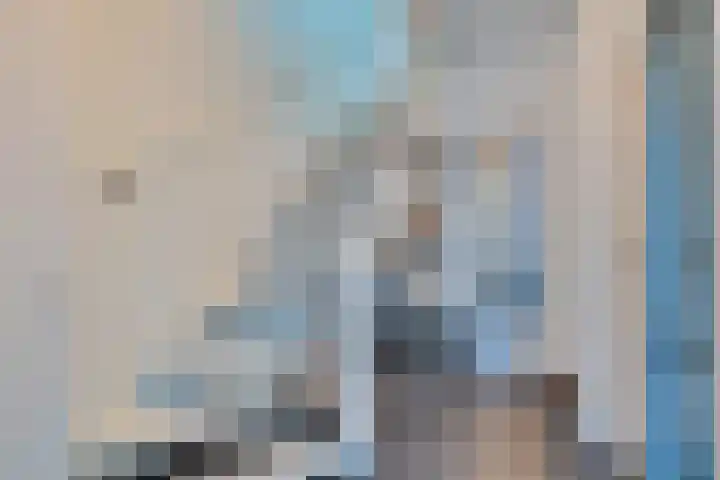 Bogerdlaan 10 Kapelle thumbnail 11
