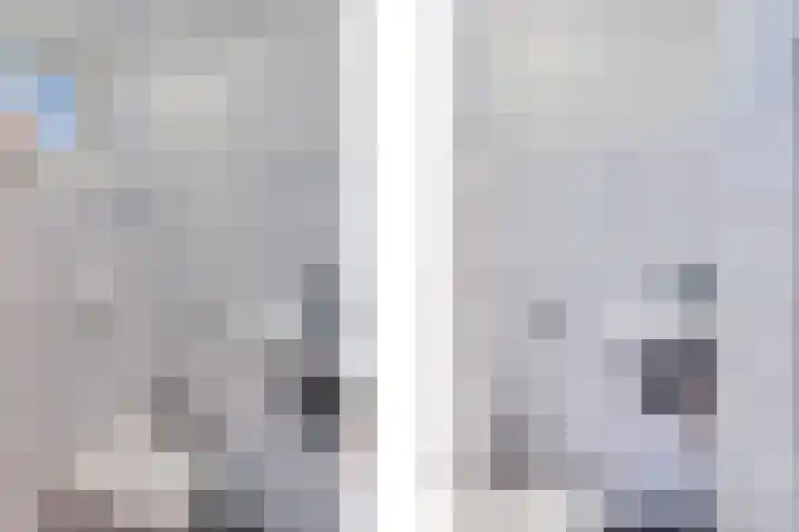 Bogerdlaan 10 Kapelle thumbnail 14