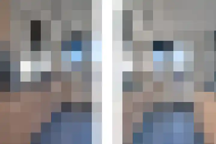 Bogerdlaan 10 Kapelle thumbnail 27