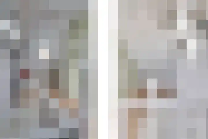 Bogerdlaan 10 Kapelle thumbnail 40