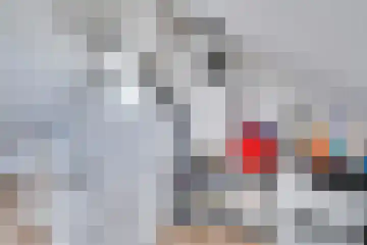 Bogerdlaan 10 Kapelle thumbnail 41