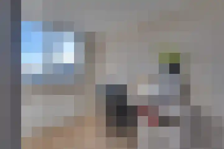 Bogerdlaan 10 Kapelle thumbnail 43