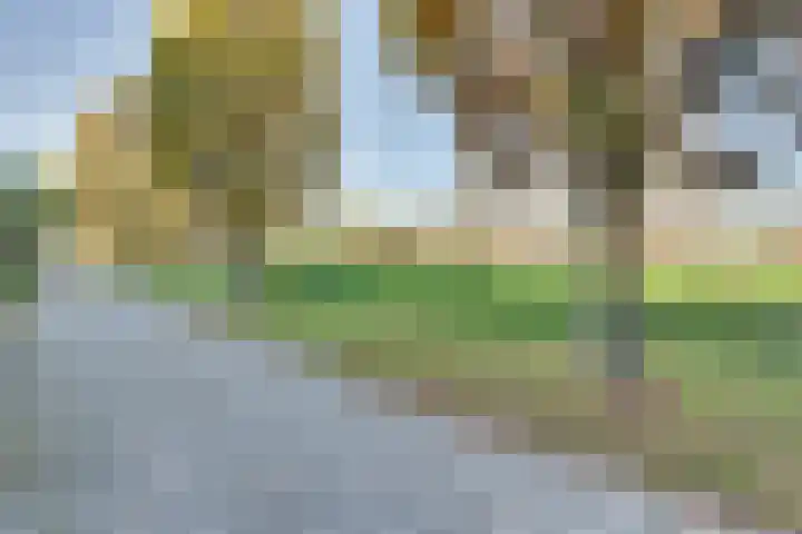 Bogerdlaan 10 Kapelle thumbnail 5