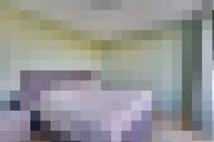 Bogerdlaan 10 Kapelle thumbnail 52