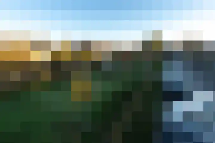 Bogerdlaan 10 Kapelle thumbnail 77