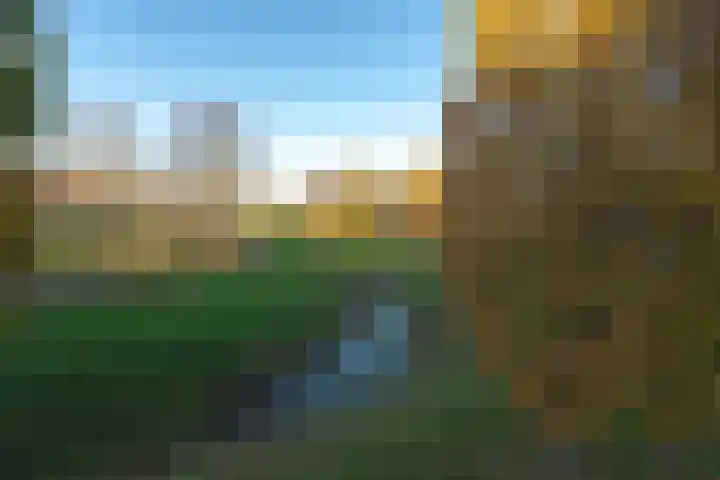 Bogerdlaan 10 Kapelle thumbnail 82