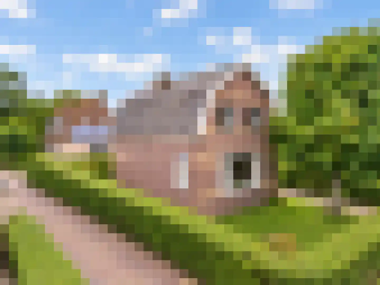 Bogerdlaan 19 Limmen foto 2