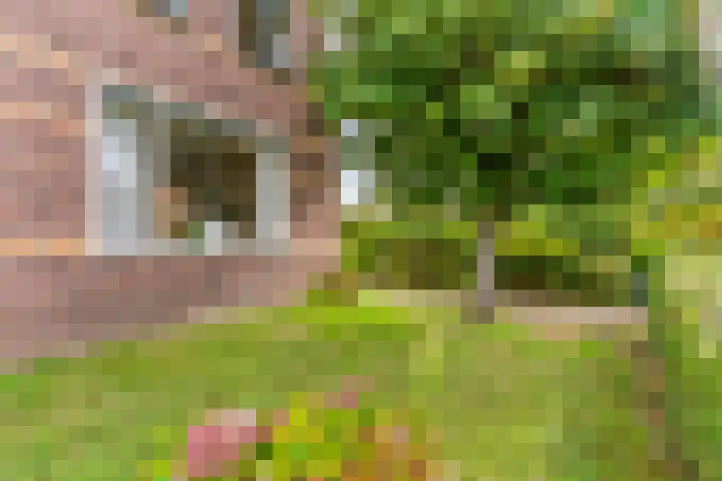 Bogerdlaan 19 Limmen thumbnail 34