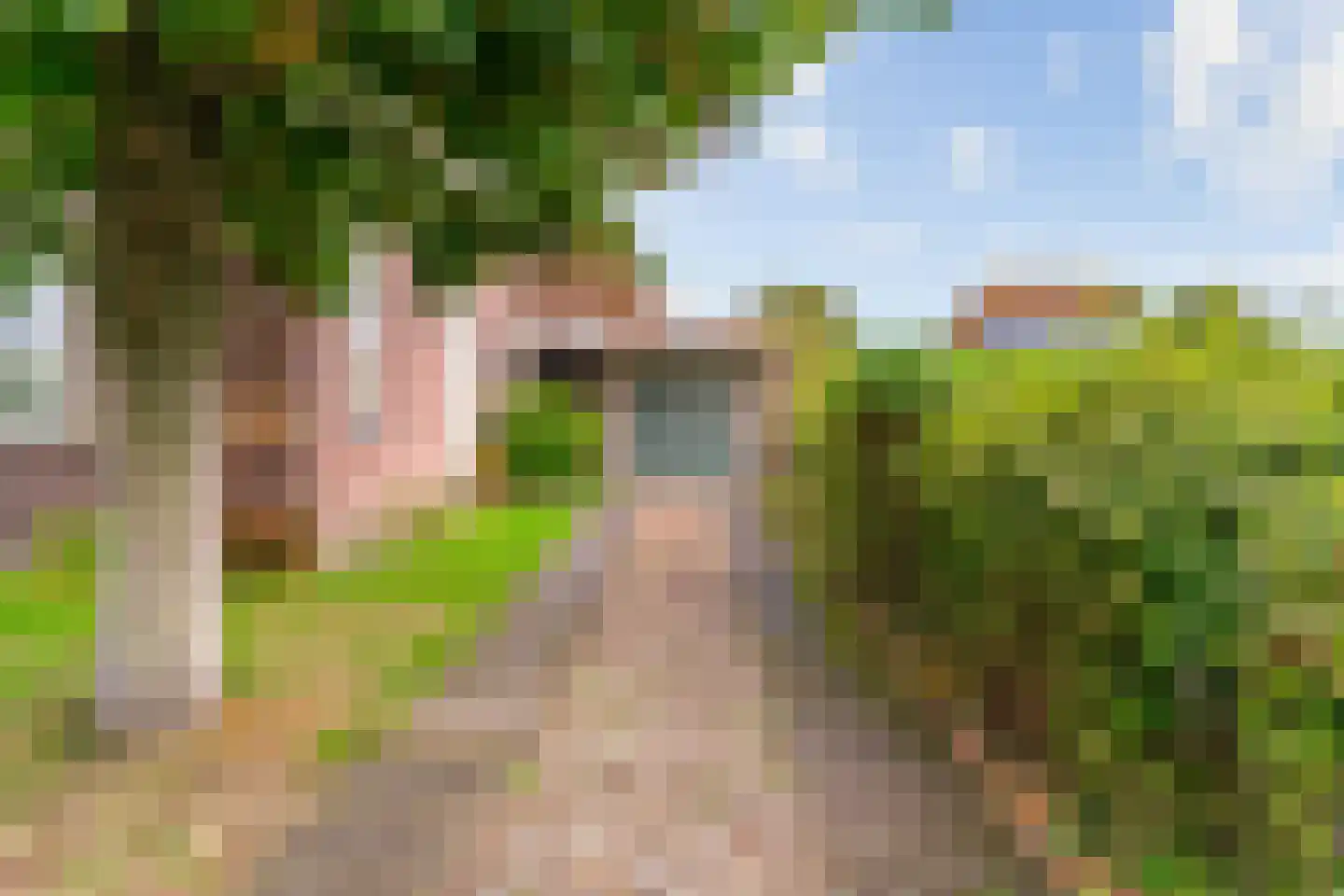 Bogerdlaan 19 Limmen thumbnail 35