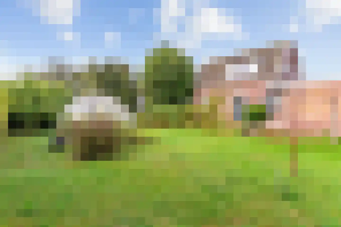 Bogerdlaan 19 Limmen thumbnail 38