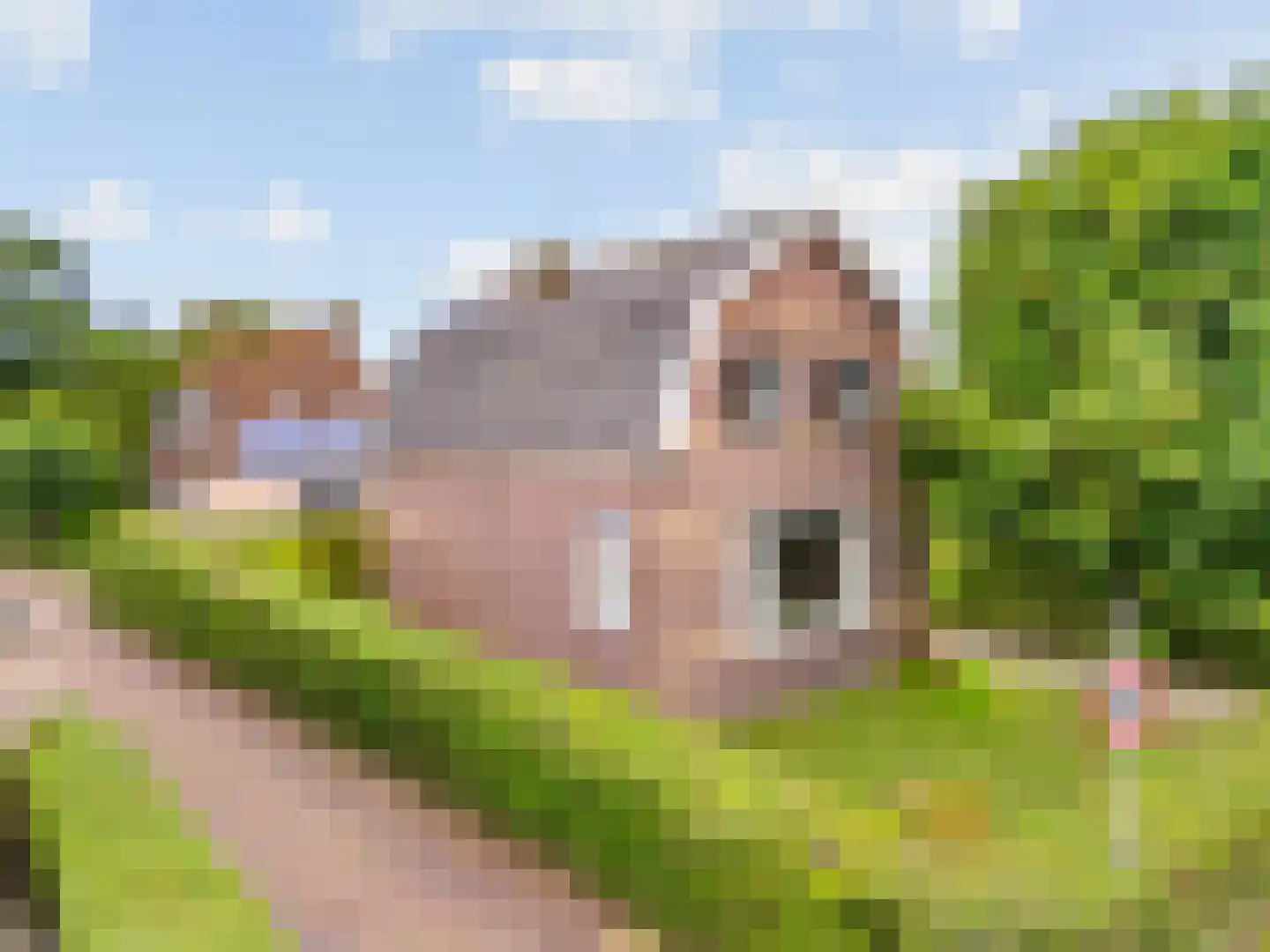 Bogerdlaan 19 Limmen thumbnail 42