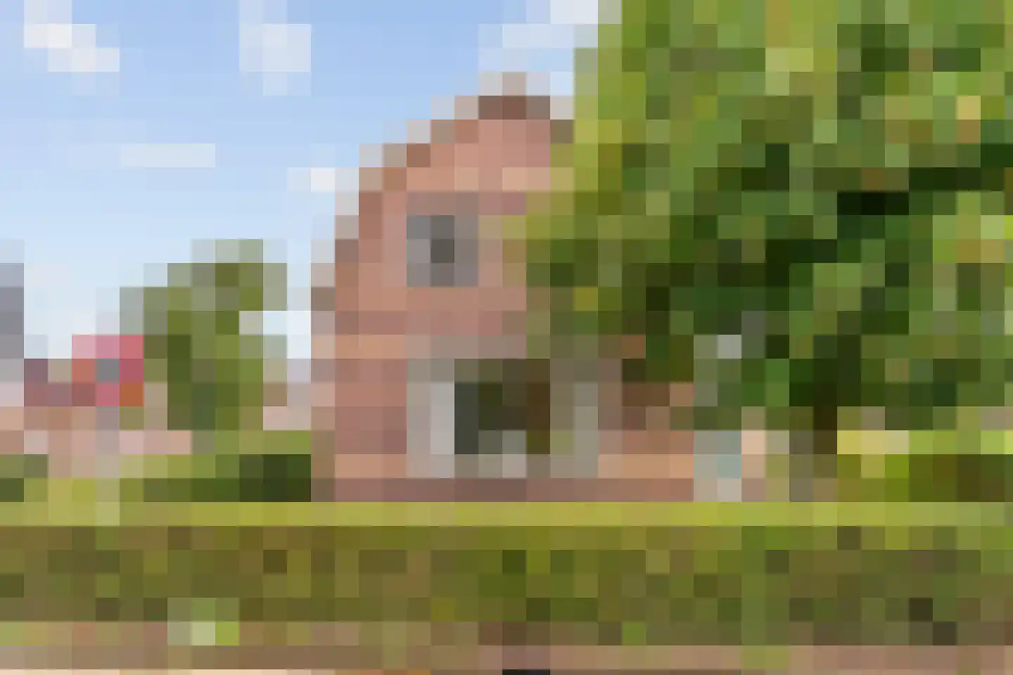 Bogerdlaan 19 Limmen thumbnail 43