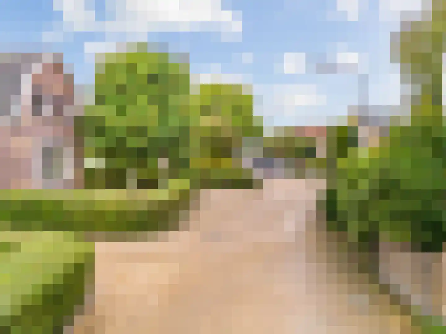 Bogerdlaan 19 Limmen thumbnail 48