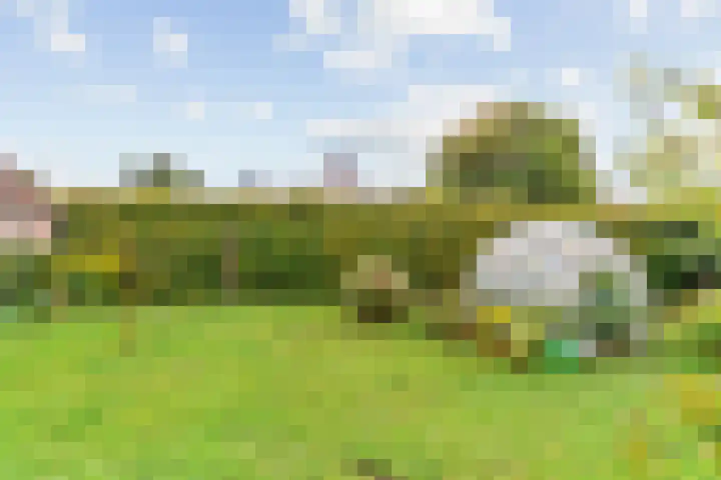 Bogerdlaan 19 Limmen thumbnail 5