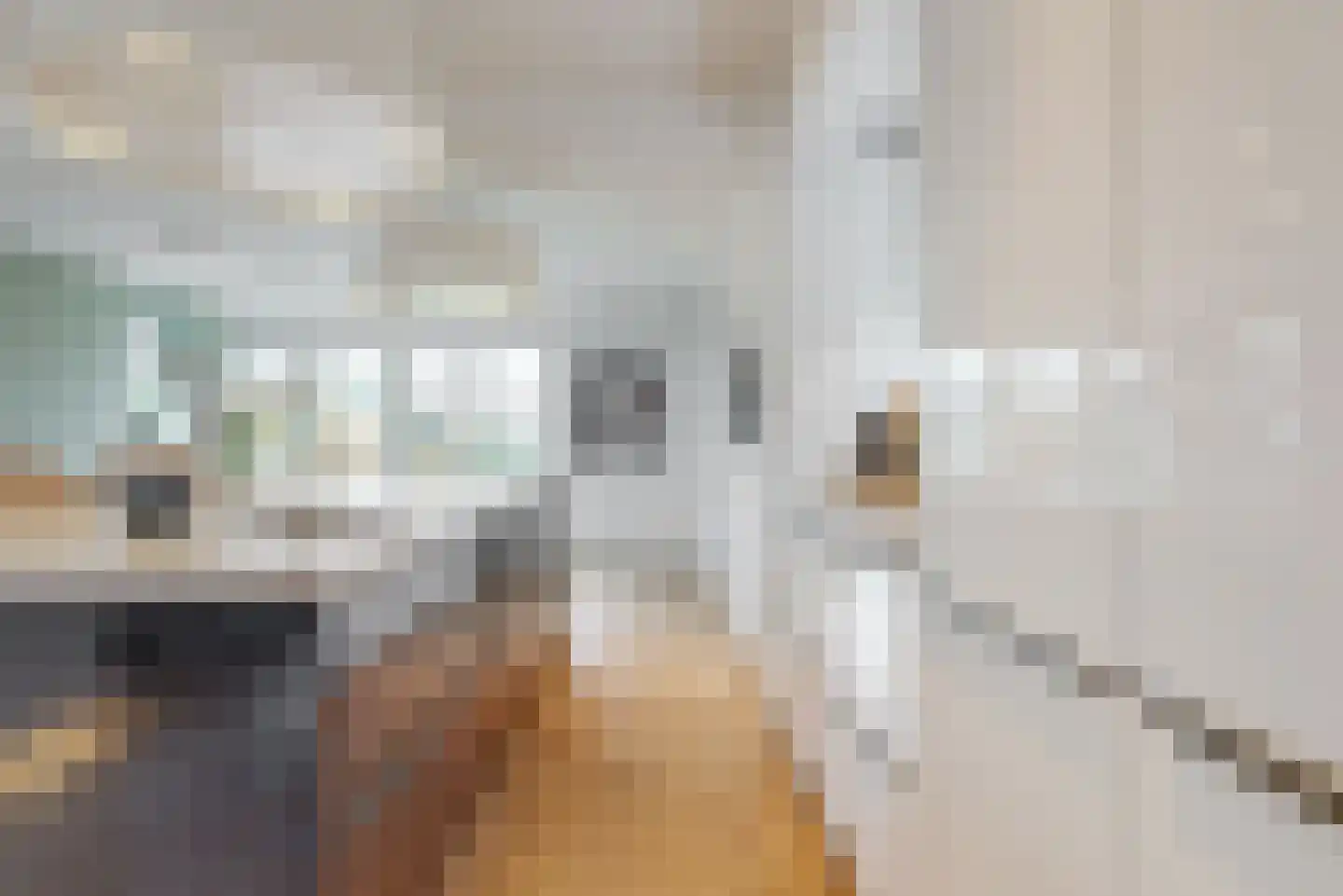 Bogerdlaan 7 Limmen thumbnail 11