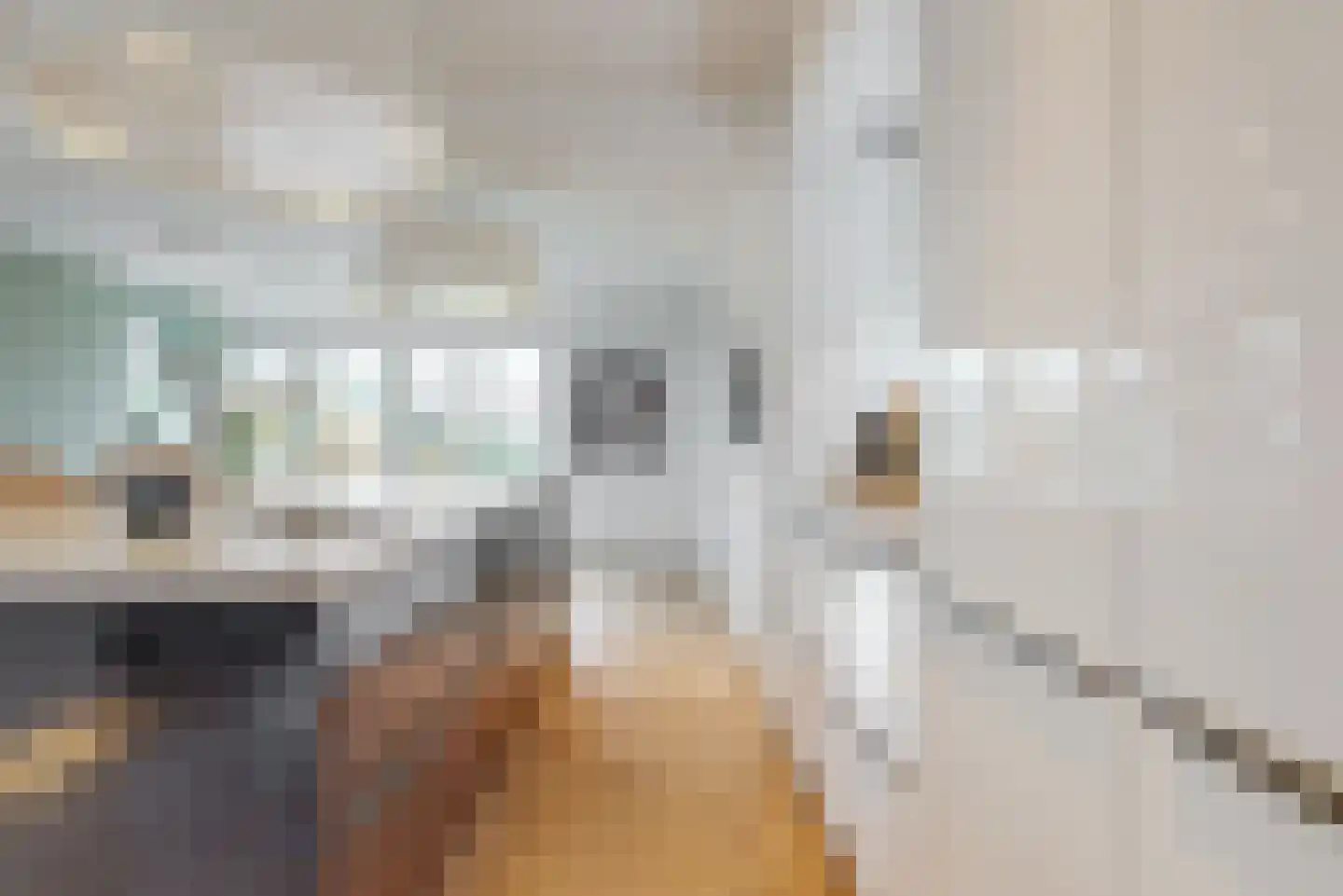 Bogerdlaan 7 Limmen thumbnail 11