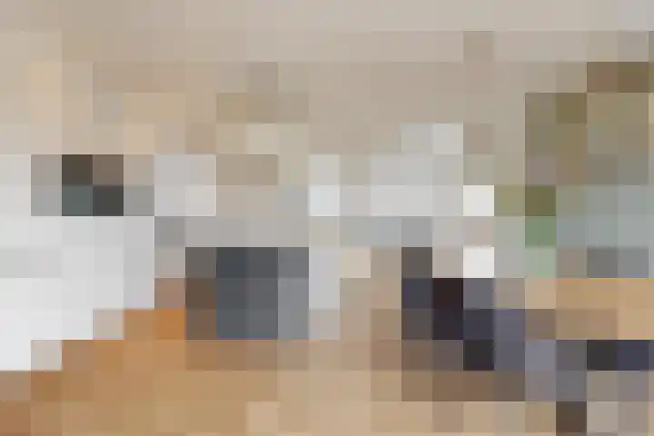 Bogerdlaan 7 Limmen thumbnail 13