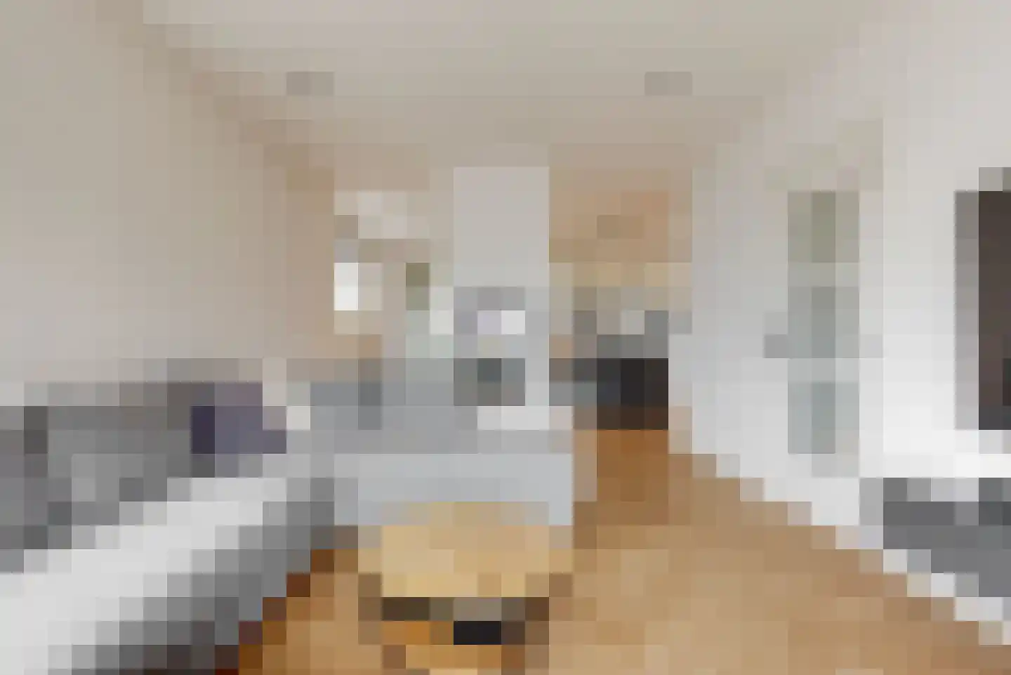 Bogerdlaan 7 Limmen thumbnail 19