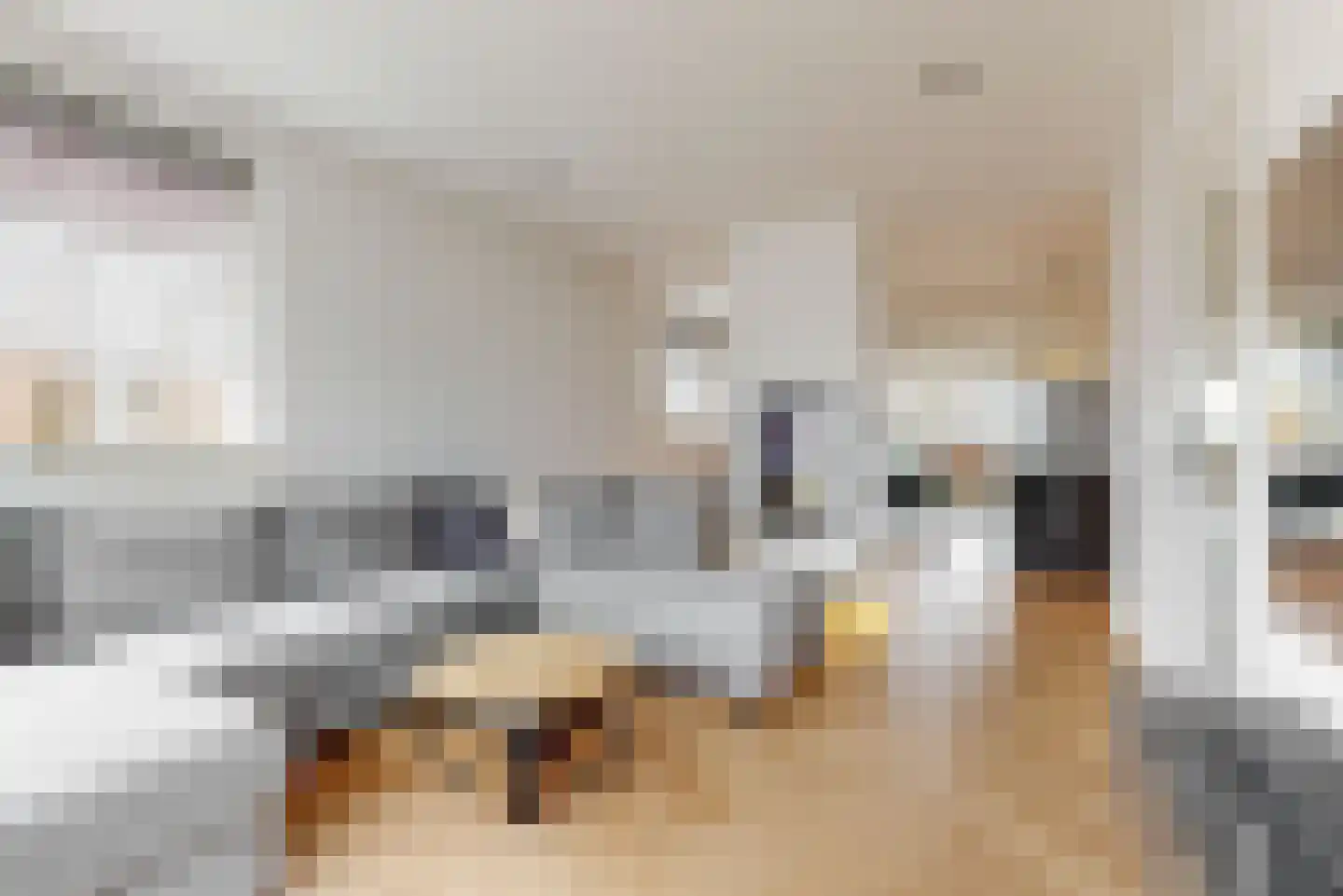 Bogerdlaan 7 Limmen thumbnail 20