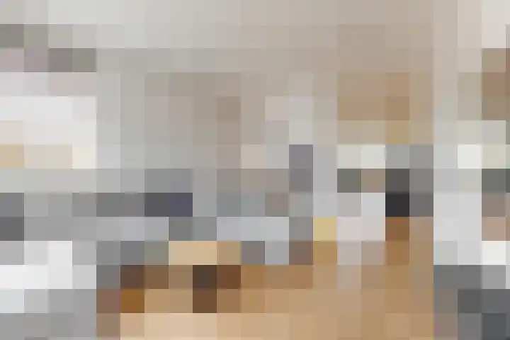 Bogerdlaan 7 Limmen thumbnail 21