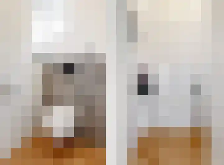 Bogerdlaan 7 Limmen thumbnail 22