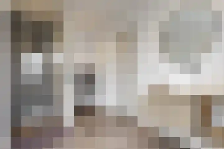 Bogerdlaan 7 Limmen thumbnail 28