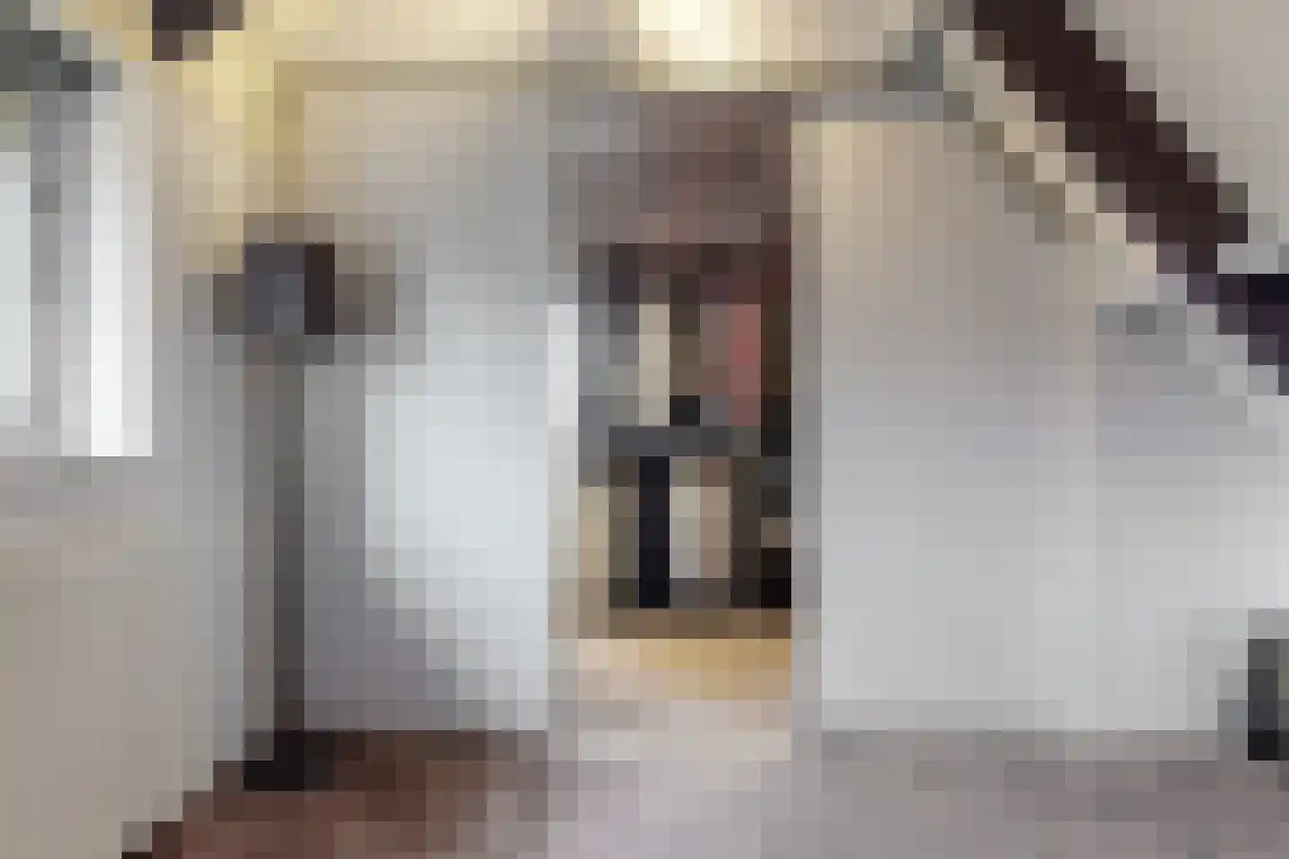 Bogerdlaan 7 Limmen thumbnail 34